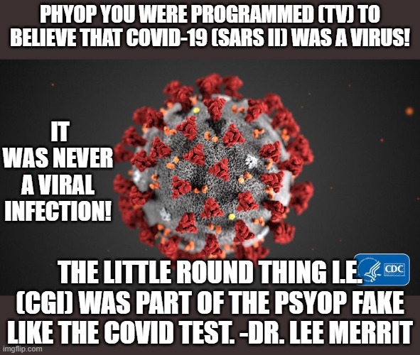 Dr. Lee Merritt Are Viruses REAL | PHYOP YOU WERE PROGRAMMED (TV) TO BELIEVE THAT COVID-19 (SARS II) WAS A VIRUS! IT WAS NEVER A VIRAL INFECTION! THE LITTLE ROUND THING I.E. (CGI) WAS PART OF THE PSYOP FAKE LIKE THE COVID TEST. -DR. LEE MERRIT | image tagged in covid 19,drugs,fake news,coronavirus meme,this is beyond science,health | made w/ Imgflip meme maker