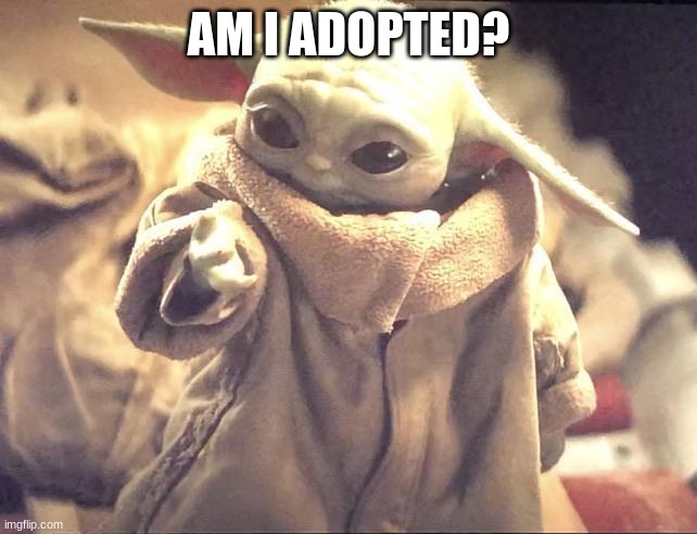 Baby Yoda looking at his hand | AM I ADOPTED? | image tagged in baby yoda looking at his hand | made w/ Imgflip meme maker