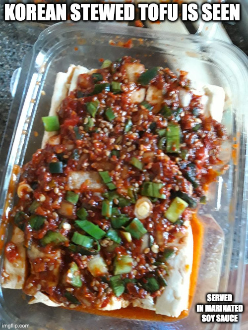 Korean-Style Tofu | KOREAN STEWED TOFU IS SEEN; SERVED IN MARINATED SOY SAUCE | image tagged in tofu,food,memes | made w/ Imgflip meme maker