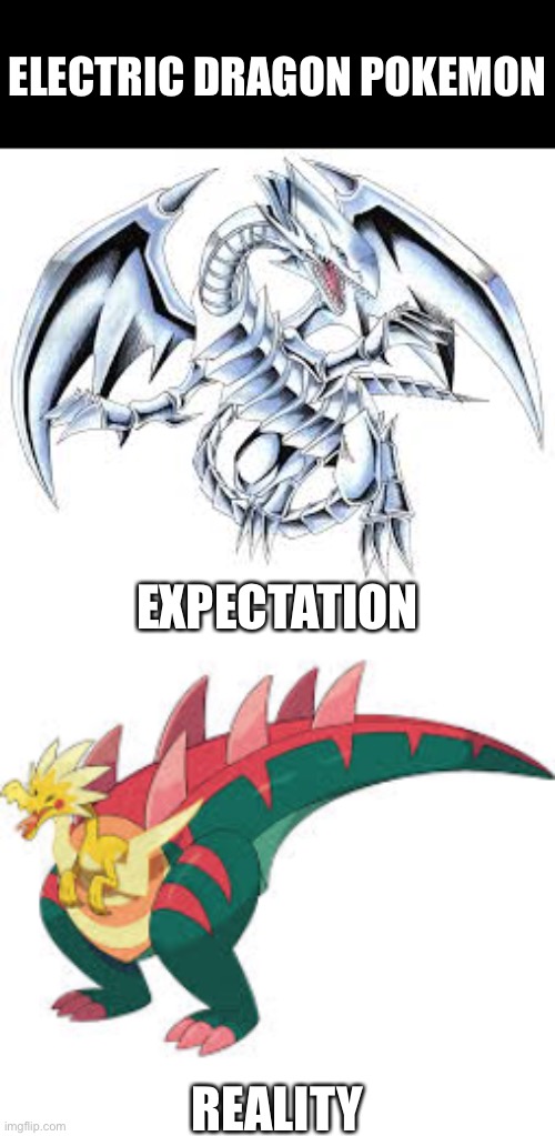 Yes I know Zekrom exists but we need more electric dragons. | ELECTRIC DRAGON POKEMON; EXPECTATION; REALITY | image tagged in image tags | made w/ Imgflip meme maker