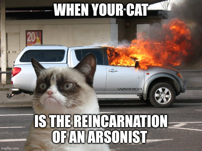 When your cat is the reincarnation of an arsonist | WHEN YOUR CAT; IS THE REINCARNATION OF AN ARSONIST | image tagged in grumpy cat fire car | made w/ Imgflip meme maker