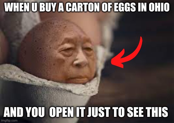 ohio | WHEN U BUY A CARTON OF EGGS IN OHIO; AND YOU  OPEN IT JUST TO SEE THIS | image tagged in ohio | made w/ Imgflip meme maker