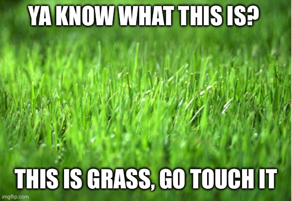 grass is greener | YA KNOW WHAT THIS IS? THIS IS GRASS, GO TOUCH IT | image tagged in grass is greener | made w/ Imgflip meme maker