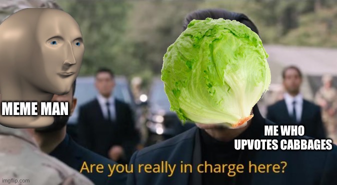 Cabbage ??? | ME WHO UPVOTES CABBAGES; MEME MAN | image tagged in are you really in charge here | made w/ Imgflip meme maker