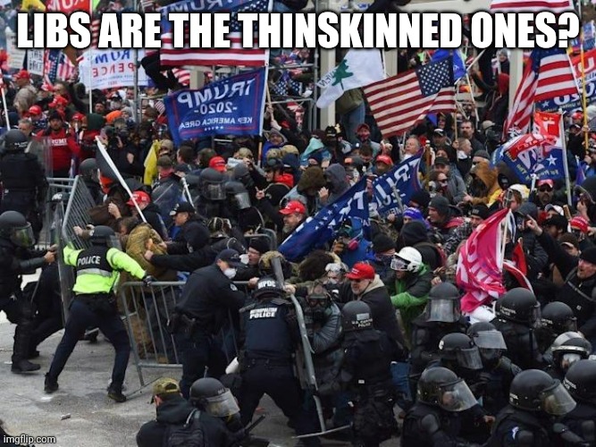 Cop-killer MAGA right wing Capitol Riot January 6th | LIBS ARE THE THINSKINNED ONES? | image tagged in cop-killer maga right wing capitol riot january 6th | made w/ Imgflip meme maker