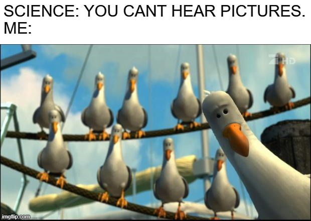who else? | SCIENCE: YOU CANT HEAR PICTURES.
ME: | image tagged in nemo seagulls mine,memes,meme,so true memes,funny,fun | made w/ Imgflip meme maker