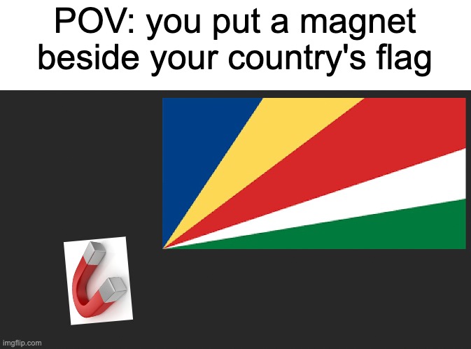 magnetise the flag | POV: you put a magnet beside your country's flag | image tagged in memes,seychelles,flag,magnet | made w/ Imgflip meme maker