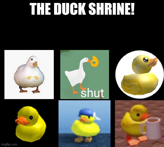 ALL HAIL THE DUCK!!! | THE DUCK SHRINE! | image tagged in duck,goose,cute,shrine,duck duck goose,honk | made w/ Imgflip meme maker