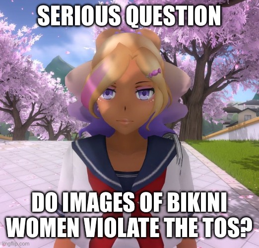 Kashiko Murasaki | SERIOUS QUESTION; DO IMAGES OF BIKINI WOMEN VIOLATE THE TOS? | image tagged in kashiko murasaki | made w/ Imgflip meme maker