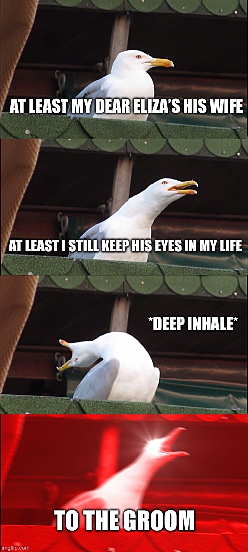 Hamilton satisfied | AT LEAST MY DEAR ELIZA’S HIS WIFE; AT LEAST I STILL KEEP HIS EYES IN MY LIFE; *DEEP INHALE*; TO THE GROOM | image tagged in memes,inhaling seagull | made w/ Imgflip meme maker