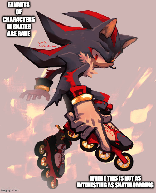 Shadow in Skates | image tagged in sonic the hedgehog,shadow the hedgehog,memes | made w/ Imgflip meme maker