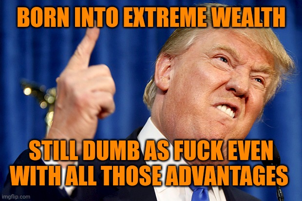 Donald Trump | BORN INTO EXTREME WEALTH STILL DUMB AS FUCK EVEN WITH ALL THOSE ADVANTAGES | image tagged in donald trump | made w/ Imgflip meme maker