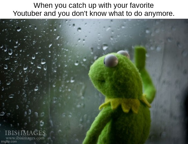 Youtube meme. | When you catch up with your favorite Youtuber and you don't know what to do anymore. | image tagged in kermit window | made w/ Imgflip meme maker