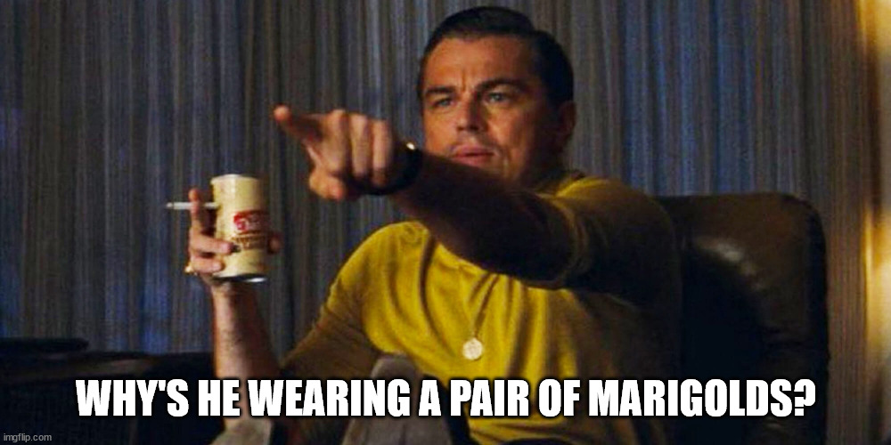 Leo pointing | WHY'S HE WEARING A PAIR OF MARIGOLDS? | image tagged in leo pointing | made w/ Imgflip meme maker