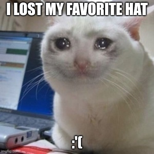 i lost my favorite hat. :,( | I LOST MY FAVORITE HAT; :'( | image tagged in crying cat | made w/ Imgflip meme maker