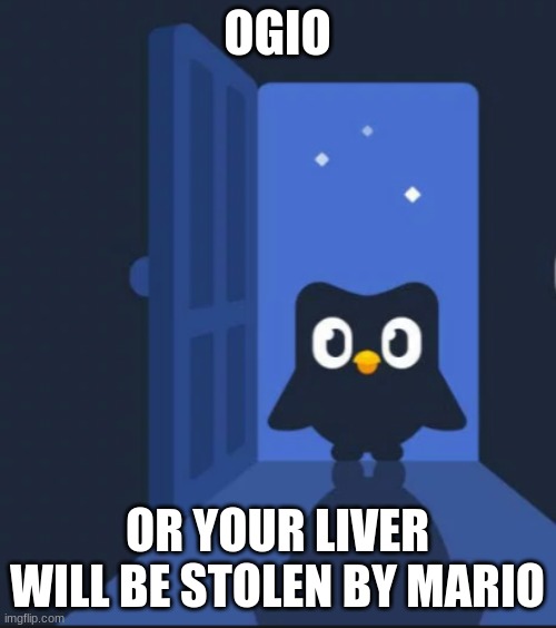 Duolingo bird | OGIO OR YOUR LIVER WILL BE STOLEN BY MARIO | image tagged in duolingo bird | made w/ Imgflip meme maker