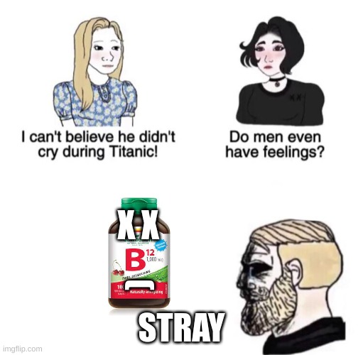 only gamers that plade stray will under stand this | X X; STRAY; ) | image tagged in chad crying | made w/ Imgflip meme maker