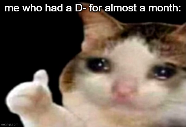 Sad cat thumbs up | me who had a D- for almost a month: | image tagged in sad cat thumbs up | made w/ Imgflip meme maker