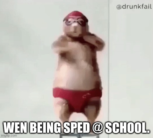 Being sped at school | WEN BEING SPED @ SCHOOL. | image tagged in animal meme | made w/ Imgflip meme maker