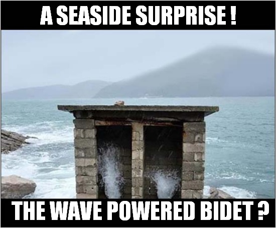 What An Experience ! | A SEASIDE SURPRISE ! THE WAVE POWERED BIDET ? | image tagged in waves,bidet,surprise,experience | made w/ Imgflip meme maker