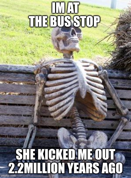 Waiting Skeleton | IM AT THE BUS STOP; SHE KICKED ME OUT 2.2MILLION YEARS AGO | image tagged in memes,waiting skeleton | made w/ Imgflip meme maker