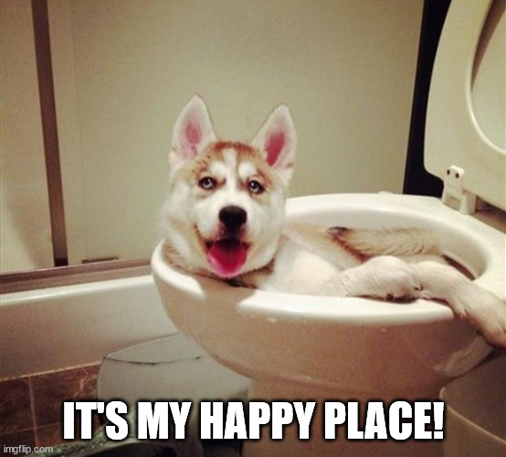 Happy Place | IT'S MY HAPPY PLACE! | image tagged in happy place | made w/ Imgflip meme maker