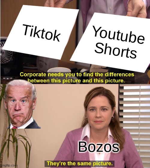 They're The Same Picture | Tiktok; Youtube Shorts; Bozos | image tagged in memes,they're the same picture | made w/ Imgflip meme maker