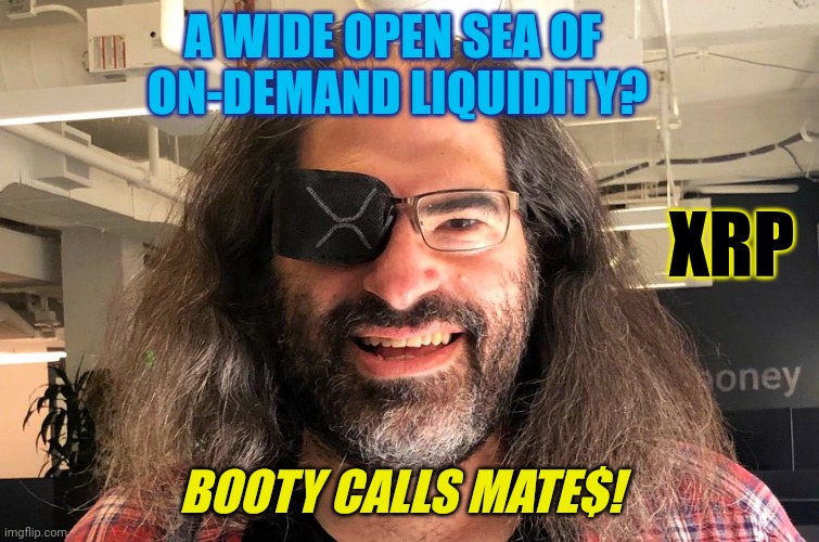 Liquidity Crisis? Ripple to the Rescue! #ODL XRP= Instantly Teleportable Gold? ISO20022 #GoldQFS | A WIDE OPEN SEA OF 
ON-DEMAND LIQUIDITY? XRP; BOOTY CALLS MATE$! | image tagged in david schwartz,inflation,collapse,cryptocurrency,ripple,xrp | made w/ Imgflip meme maker