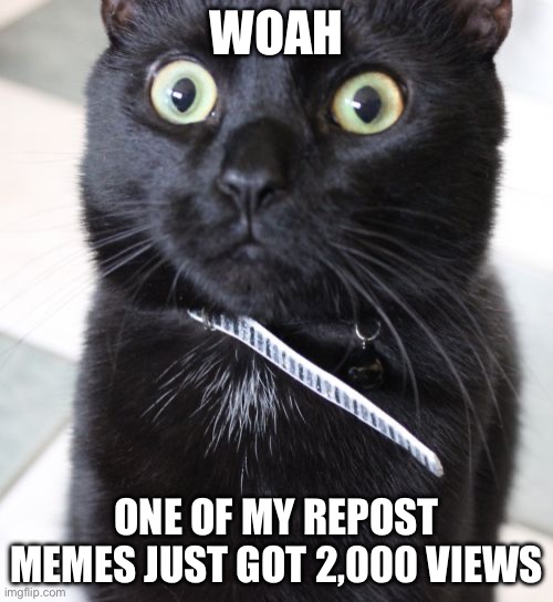 Wtf it was Iceu’s | WOAH; ONE OF MY REPOST MEMES JUST GOT 2,000 VIEWS | image tagged in memes,woah kitty,iceu | made w/ Imgflip meme maker