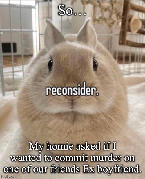 reconsider | So…; My homie asked if I wanted to commit murder on one of our friends Ex boyfriend. | image tagged in reconsider | made w/ Imgflip meme maker
