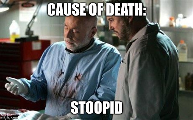 cause of death | CAUSE OF DEATH: STOOPID | image tagged in cause of death | made w/ Imgflip meme maker