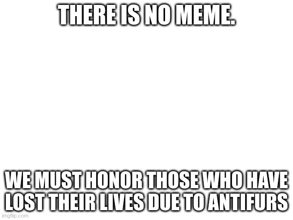 TwT |  THERE IS NO MEME. WE MUST HONOR THOSE WHO HAVE LOST THEIR LIVES DUE TO ANTIFURS | image tagged in rip | made w/ Imgflip meme maker