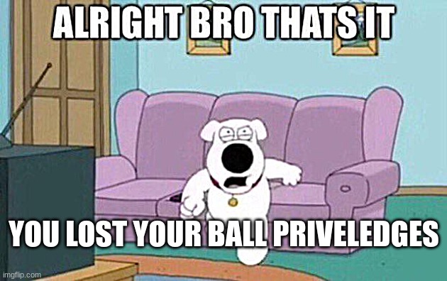 AIGHT BRO THATS IT | YOU LOST YOUR BALL PRIVELEDGES | image tagged in aight bro thats it | made w/ Imgflip meme maker