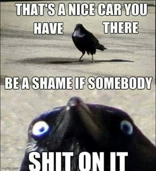 image tagged in lmao | made w/ Imgflip meme maker