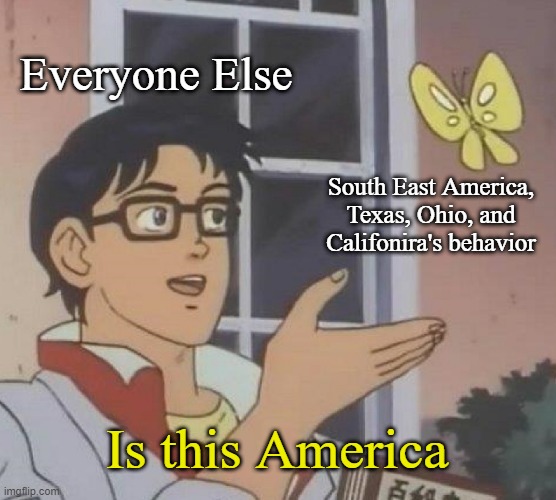 Anything done by the South, California, Texas, or California represents the entire United States for some reason | Everyone Else; South East America, Texas, Ohio, and Califonira's behavior; Is this America | image tagged in memes,is this a pigeon,the south,texas,ohio,california | made w/ Imgflip meme maker
