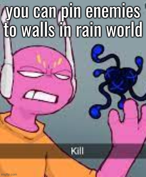 kill | you can pin enemies to walls in rain world | image tagged in kill | made w/ Imgflip meme maker
