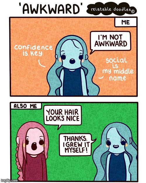 image tagged in awkward,hair,confidence,social | made w/ Imgflip meme maker