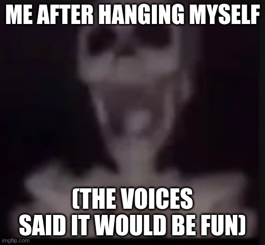 screaming skeleton | ME AFTER HANGING MYSELF; (THE VOICES SAID IT WOULD BE FUN) | image tagged in screaming skeleton | made w/ Imgflip meme maker