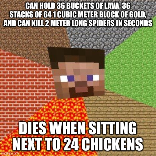 Minecraft Steve | CAN HOLD 36 BUCKETS OF LAVA, 36 STACKS OF 64 1 CUBIC METER BLOCK OF GOLD, AND CAN KILL 2 METER LONG SPIDERS IN SECONDS; DIES WHEN SITTING NEXT TO 24 CHICKENS | image tagged in minecraft steve | made w/ Imgflip meme maker