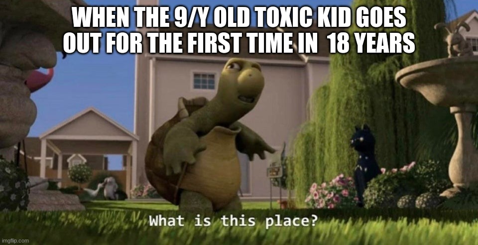 Confusion | WHEN THE 9/Y OLD TOXIC KID GOES OUT FOR THE FIRST TIME IN  18 YEARS | image tagged in what is this place | made w/ Imgflip meme maker