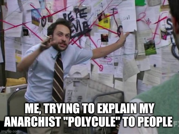 Relationship anarchist polycule | ME, TRYING TO EXPLAIN MY ANARCHIST "POLYCULE" TO PEOPLE | image tagged in charlie day | made w/ Imgflip meme maker