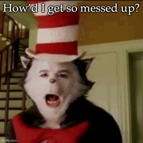 Cat messed up | How’d I get so messed up? | image tagged in cat in the hat,messed up | made w/ Imgflip meme maker