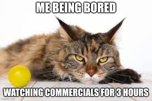 me | ME BEING BORED; WATCHING COMMERCIALS FOR 3 HOURS | image tagged in bored | made w/ Imgflip meme maker