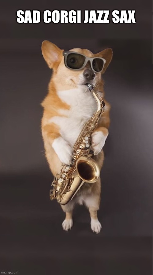 Corgi Saxophone | SAD CORGI JAZZ SAX | image tagged in corgi saxophone | made w/ Imgflip meme maker