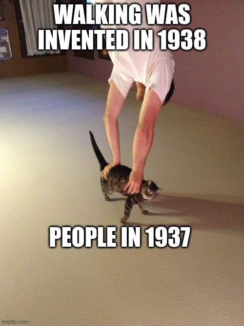 Handstand Cat | WALKING WAS INVENTED IN 1938; PEOPLE IN 1937 | image tagged in handstand cat | made w/ Imgflip meme maker