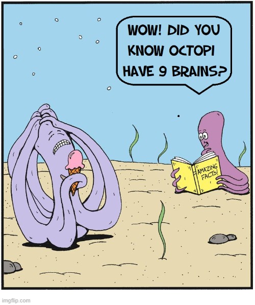 Ice Cream can be Mortally Dangerous to Octopi | image tagged in vince vance,octopus,ice cream,brain freeze,memes,comics/cartoons | made w/ Imgflip meme maker