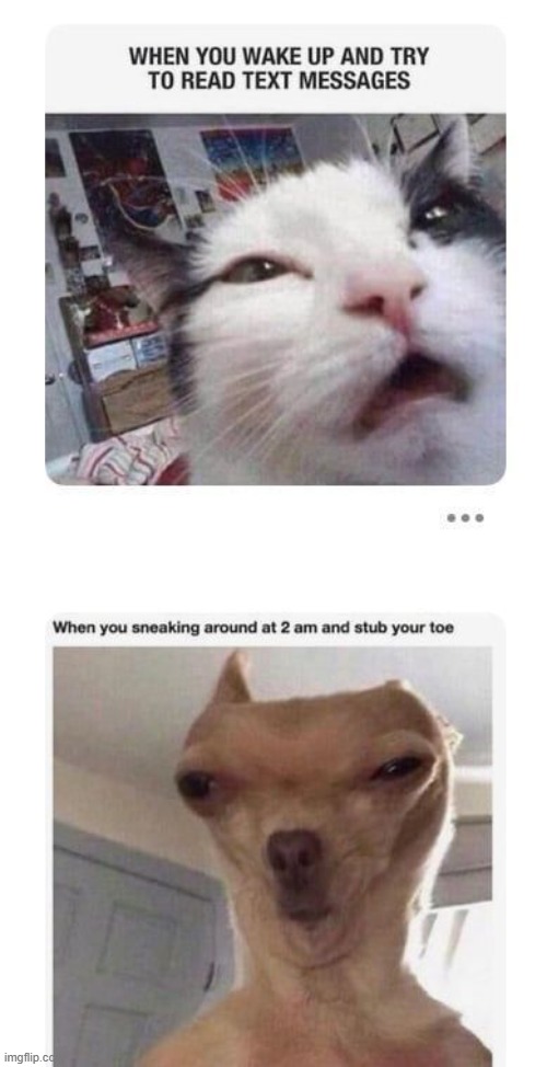 image tagged in lmao | made w/ Imgflip meme maker