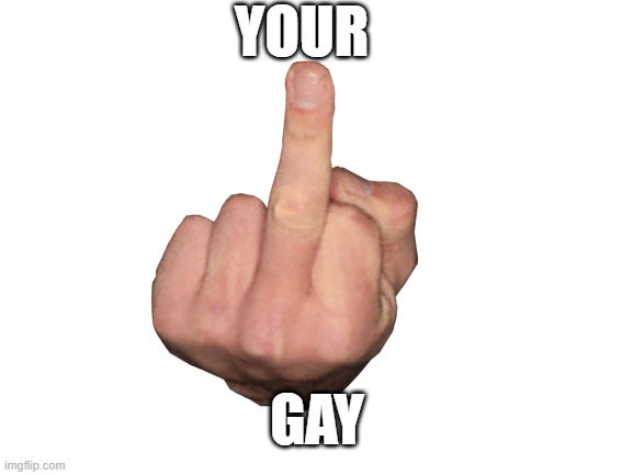 Blank White Template | YOUR GAY | image tagged in blank white template | made w/ Imgflip meme maker