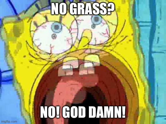 Spongebob Screaming | NO GRASS? NO! GOD DAMN! | image tagged in spongebob screaming | made w/ Imgflip meme maker