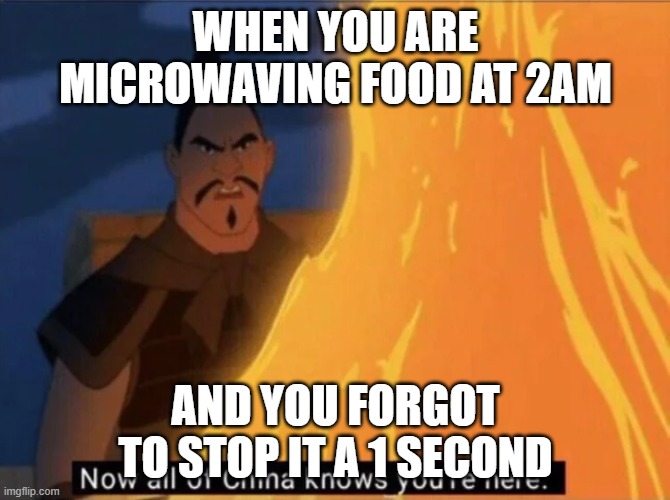 Now all of China knows you're here | WHEN YOU ARE MICROWAVING FOOD AT 2AM; AND YOU FORGOT TO STOP IT A 1 SECOND | image tagged in now all of china knows you're here | made w/ Imgflip meme maker
